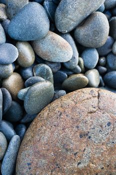 About 20 feet up from the surf the rocks get beaten and polished by sand and logs