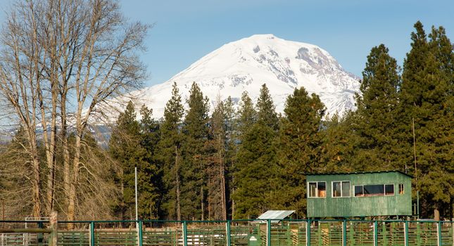 Rodeo Arena Outdoor Show Area Livestock Goldendale