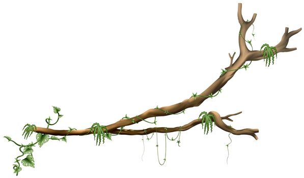 Branch Tree and Creeping Plants - illustration