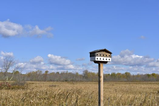 neighborhood for luxury condos for bird in a park