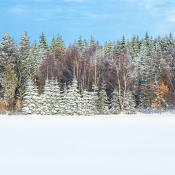 An image of a nice winter scenery