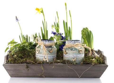 mini garden with flowers on wooden plate