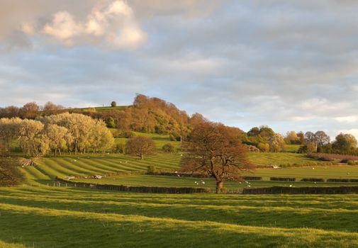 Ancient ridge and furrow field patterns, Warwickshire, England.