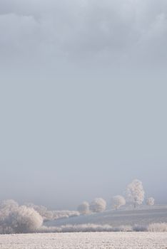 The landscape covered in hoar frost, Cotswolds, Gloucestershire, England.