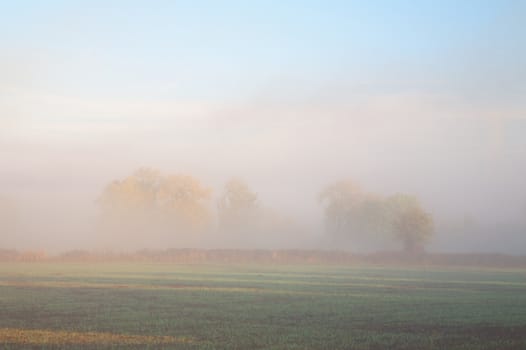 Looking over farmland through the morning mist, Mickleton, Gloucestershire, England.