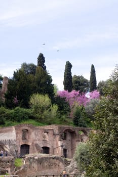 Old roman ruins in Roma
