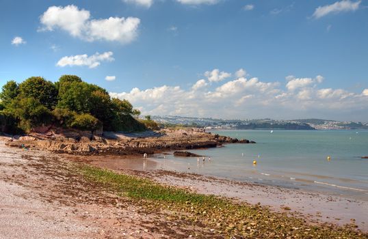 Summertime at Elberry Cove near Broadsands and Torquay, Devon, England.