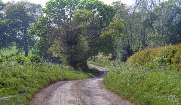 Pretty lane in springtime at Baker���s Hill near Chipping Campden, Gloucestershire, England.