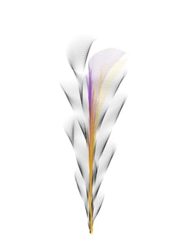 abstract flower