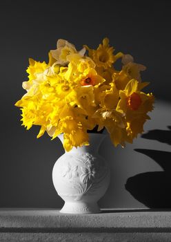 White vase with spring daffodils with desaturated background.