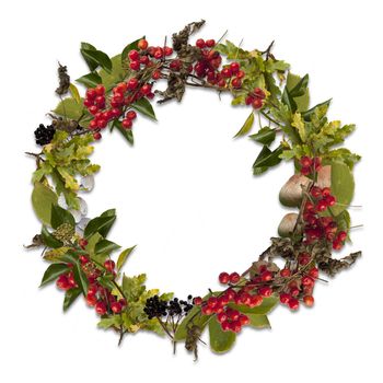 Cut-out autumn wreath with oak, elderberry, ivy and toadstools etc on white background.