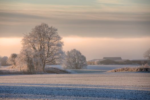 Hoar frost on farmland near Chipping Campden, Gloucestershire, England.