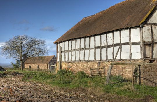 Timber-framed, wattle and daub barn at Hanley Childe, Worcestershire, England.