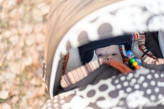 Baby looking out of the stroller in winter