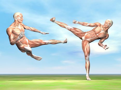 Two male musculatures fighting with martial art on the green grass by beautiful day