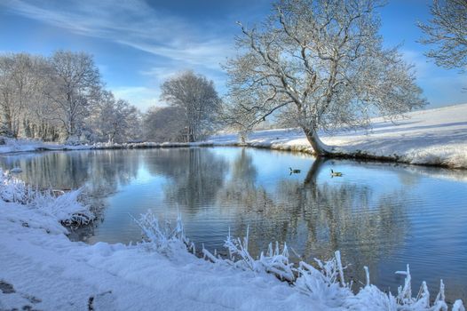 Snow covered landscape with lake and geese, Worcestershire, England.