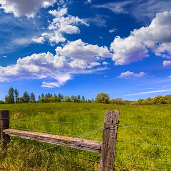 California meadow ranch in a blue sky spring day USA
