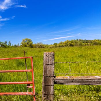 California meadow ranch in a blue sky spring day USA