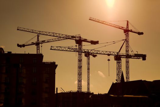 Tower crane silhouettes at a construction site