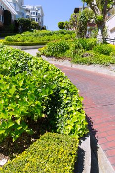 San Francisco Lombard Street gardens in California USA