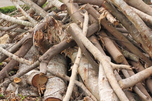 Pile of Logs stack on floor