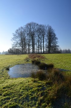 Natural pond in a field in the English County of Sussex.Image taken in December.