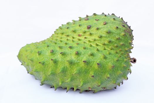Soursop or Prickly Custard Apple or Durian belanda (Annona muricata L.) isolated on white background