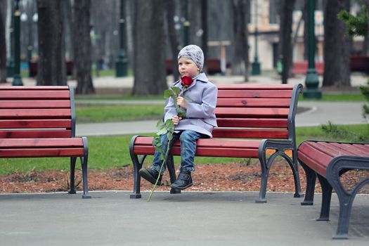 Little romantic boy with rose  waiting in the park