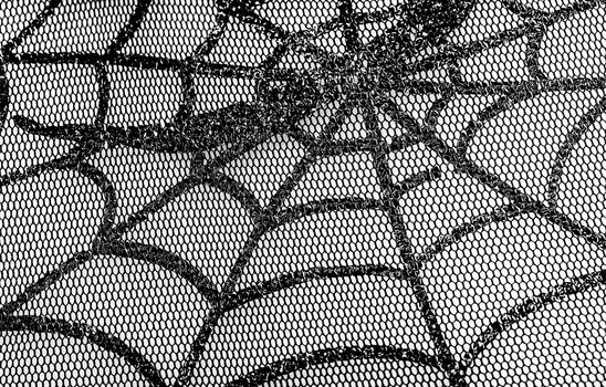 Mesh Web photographed close up for background on halloween