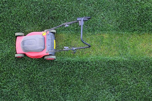 Grass cutter cuts the green  lawn