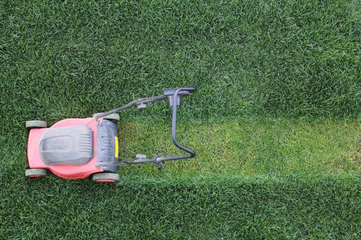 Grass cutter cuts the green  lawn