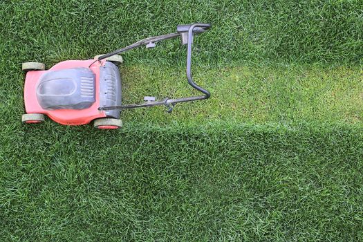 Grass cutter cuts the green  lawn