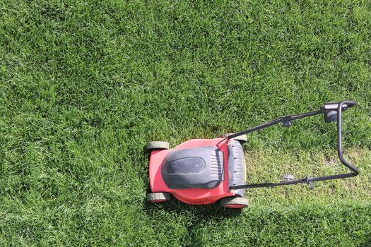 Grass cutter cuts the green  lawn