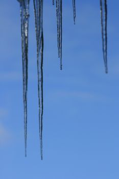 long icicles, with blue sky background