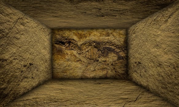 High Detailed fossile Stone wall room stage background Textures. All shots are originally taken with 100mm macro lens.