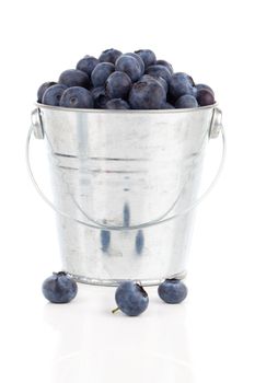 blueberry berries in a metal bucket, isolated on white background