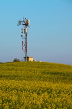 Transmitter tower above a blooming rapeseed field