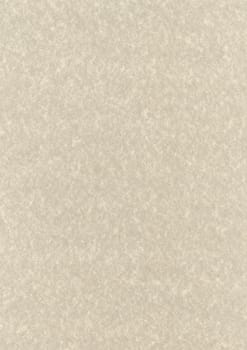 Natural parchment recycled paper texture background