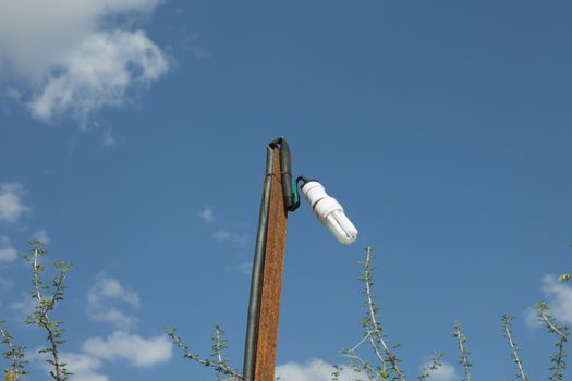 energy saving lamp against the sky