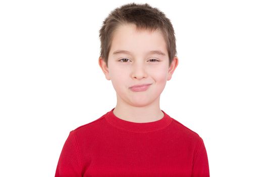 Skeptical young boy with a disbelieving expression looking thoughtfully at the camera as he assesses the situation, isolated on white