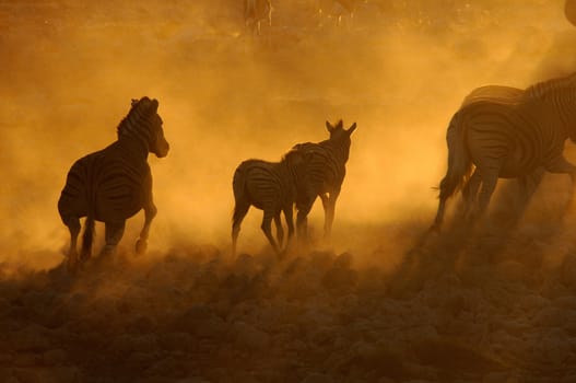 Sunset at the Okaukeujo waterhole in Namibia