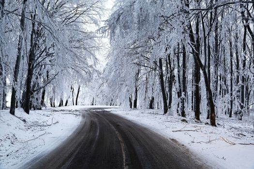 Mountain road in winter snow