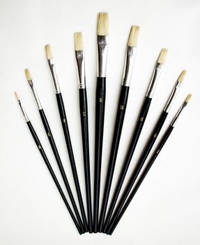 Different sized brushes on a white background.