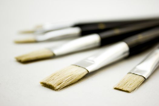 Different sized brushes on a white background.