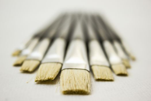 Different sized brushes on a white background.