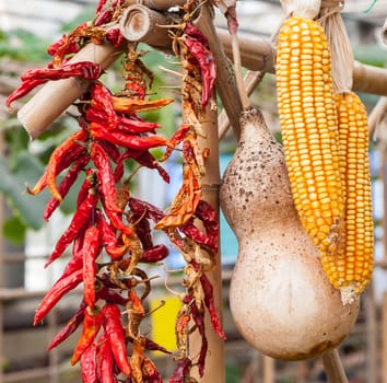 the corn, gourd,chili together in a typical Chinese farmer's house.