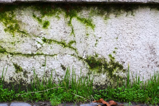 Dirty Grunge Wall Textural background