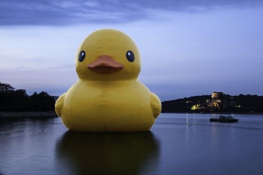 The bull and the rhubarb (yellow) duck in Summer Palace of Beijing, China.