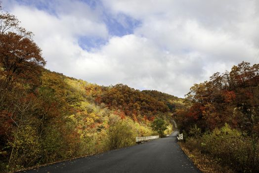 The autumn of colorful Changbai mountain  in Jilin province of China.