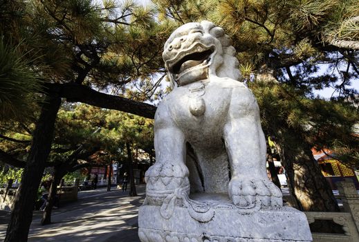 The stone lion in front of the gate of Tanzhe temple.